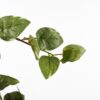 Kunst hangplant Scindapsus hanging Groen 30×15×80 cm - foto 5