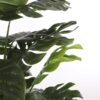 Kunstplant Monstera Groen 80×80×160 cm - foto 4