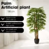 Kunstplant Raphis Palm Groen