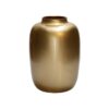Vaas Artic goud