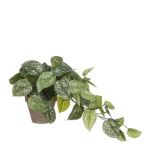 Kunst hangplant Scindapsus Groen