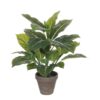 Kunstplant Evergreen Groen - foto 2