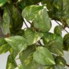 Kunst hangplant Scindapsus hanging Groen - foto 3