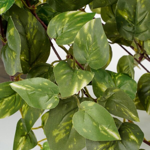 Kunst hangplant Scindapsus hanging Groen - foto 3
