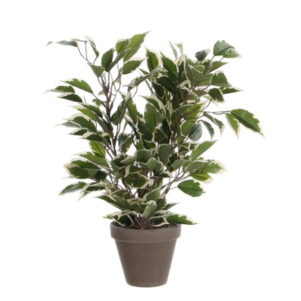 Kunstplant Ficus natasja Groen