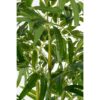 Kunstplant Bamboe Groen - foto 4