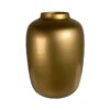 Vaas – Artic gold - foto 4
