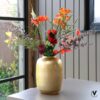 Vaas – Artic gold - foto 5