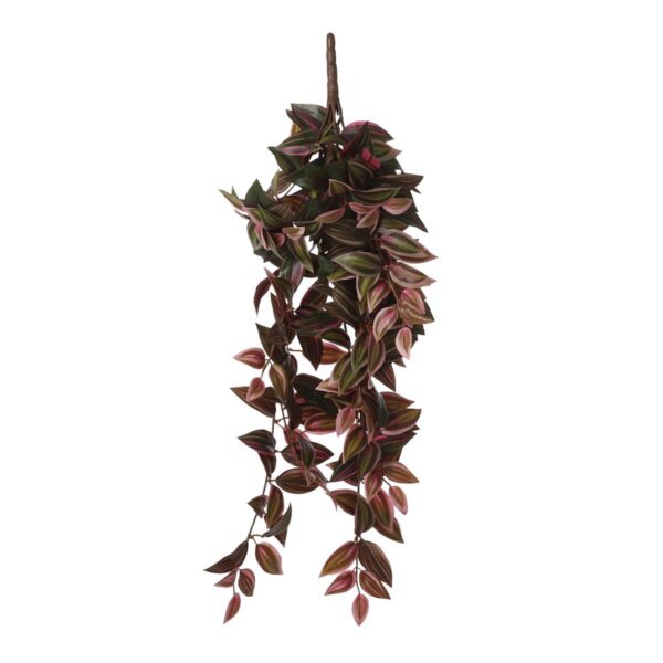 Kunst hangplant Tradescantia Donkerrood