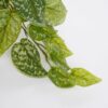 Kunst hangplant Scindapsus Groen - foto 4