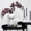 Selva ivory