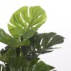 Kunstplant Monstera Groen 75×75×100 cm - foto 4