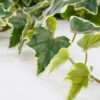 Kunst hangplant Ivy Groen 25×25×86 cm - foto 2