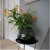 Morava grey - foto 5