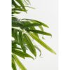 Kunstplant Bamboe Groen - foto 3