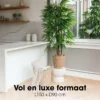 Kunstplant Raphis Palm Groen - foto 6