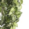 Kunst hangplant Fittonia Groen - foto 3