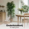 Kunstplant Raphis Palm Groen - foto 7