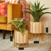 Bloempot set Dione Bruin - foto 4