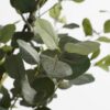Kunstplant Groen 55×55×120 cm - foto 4