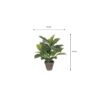 Kunstplant Evergreen Groen - foto 3