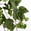 Kunst hangplant Scindapsus hanging Groen 30×15×80 cm - foto 4