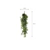Kunst hangplant Fittonia Groen - foto 2