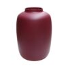 Paarse vaas Artic mat violet