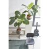 Kunstplant Taro Groen - foto 4