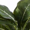 Kunstplant Evergreen Groen - foto 4