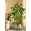 Kunstplant Bamboe Groen - foto 5