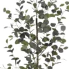 Kunstplant Eucalyptus - foto 2