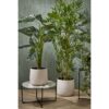 Kunstplant Groen 70×70×100 cm - foto 6