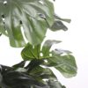 Kunstplant Monstera Groen 80×80×140 cm - foto 4