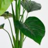 Kunstplant Groen 70×70×100 cm - foto 5