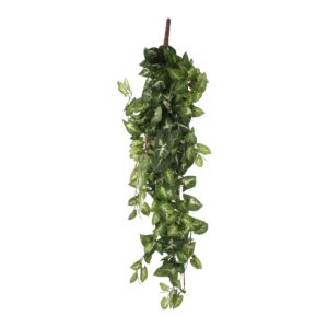 Kunst hangplant Fittonia Groen
