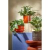 Kunst hangplant Scindapsus Groen - foto 7