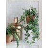 Kunst hangplant Fittonia Groen - foto 4