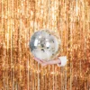Discobal zilver 25 cm – foto 5