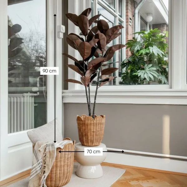 Kunstplant Rubberplant Rood H90 cm - afbeelding 4