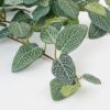 Kunst fittonia hangplant – foto 4