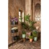Plantenmand set Merlijn Groen-Wit