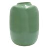 Vaas Artic pastelgroen foto 6
