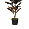 Kunstplant Rubberplant Rood H90 cm - afbeelding 3
