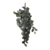 Kunst Hangplant Fittonia Groen-Wit – 54 cm