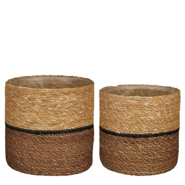 Plantenmand set Damian Bruin