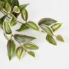 Kunst tradescantia hangplant – foto 4
