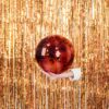 Discobal rood 25 cm – foto 5