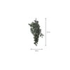 Kunst fittonia hangplant – foto 2