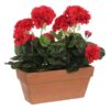 Kunstplant Geranium Rood in bak